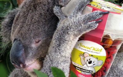 Was essen Koalas? Erfahren Sie alles über Nahrung und Lebensraum